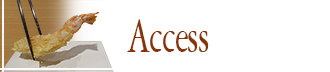 access
